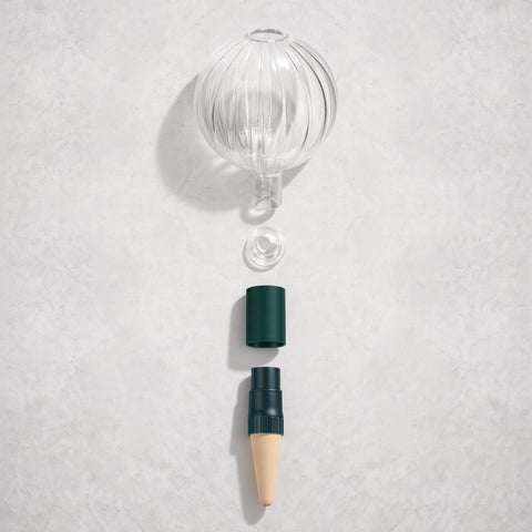 Soilagua terracotta spikes adapter delivers water directly to roots