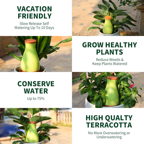 Soilagua vacation use 4-pack helps maintain greenery during trips