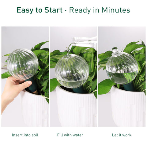 Soilagua vacation watering device keeps plants hydrated while away