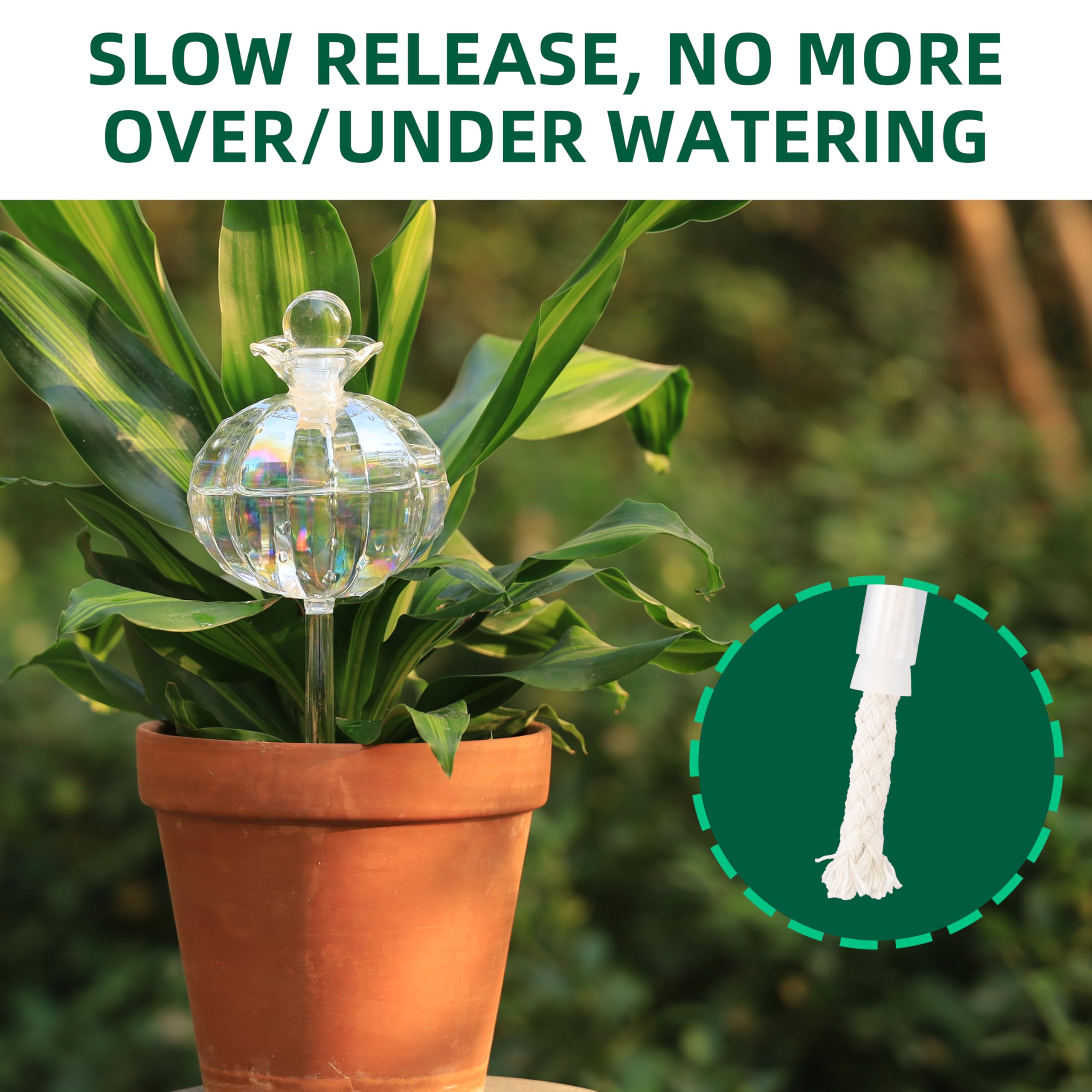 Soilagua 2-pack water spikes simplify plant care