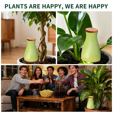 Soilagua watering spikes for indoor and outdoor plant care