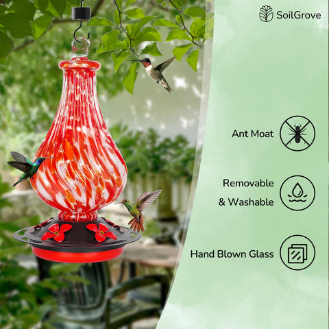 SOILGROVE glass hummingbird feeder 5 ports, shared feeding for multiple birds.