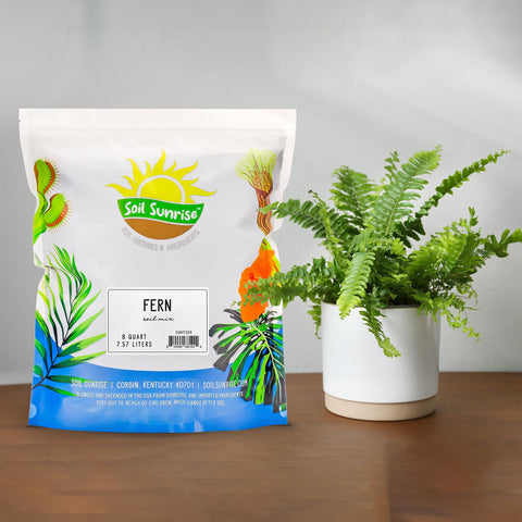 Soil Sunrise Boston fern soil mix promotes lush growth for indoor containers.