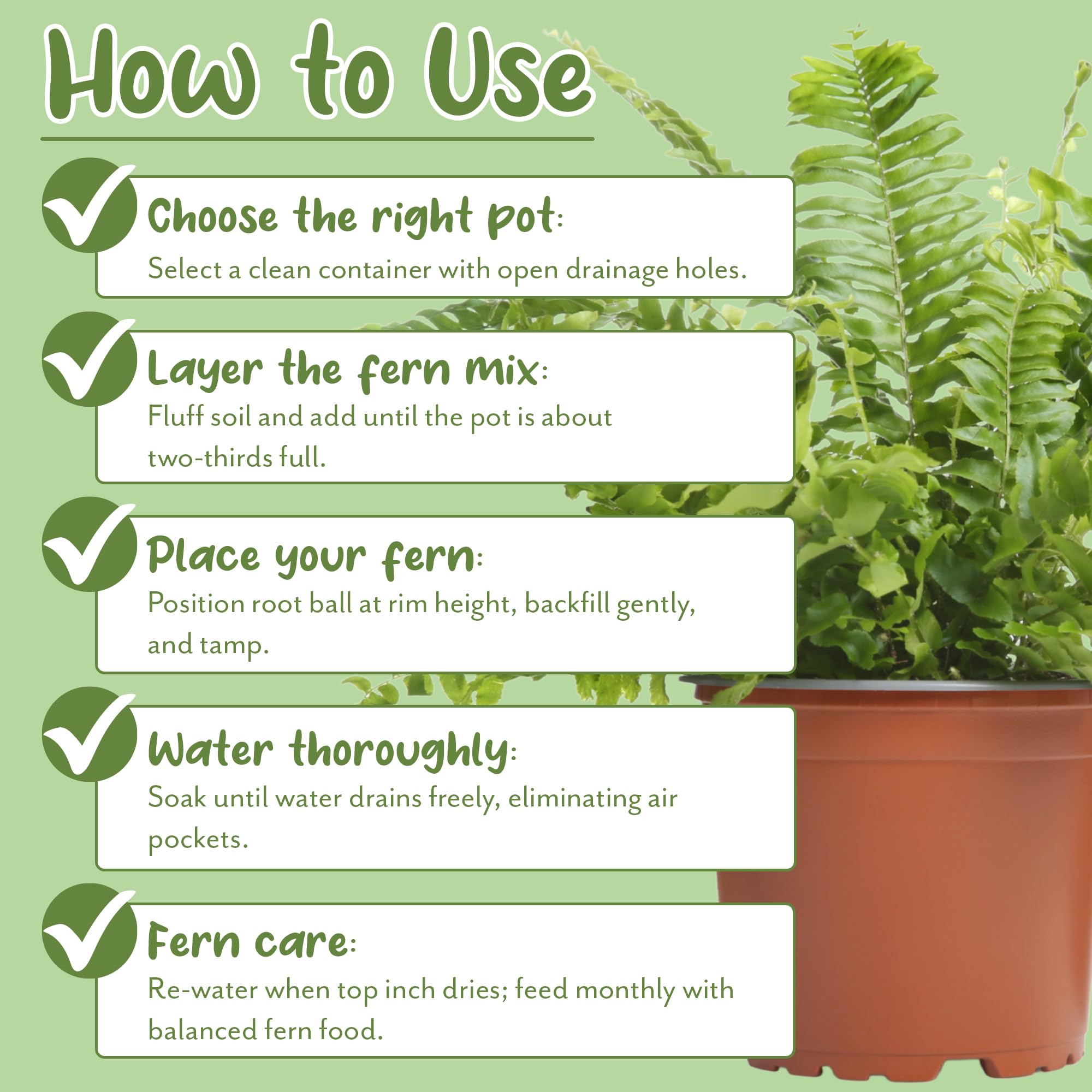 Soil Sunrise organic nutrients-rich soil boosts plant health for year-round container gardening.