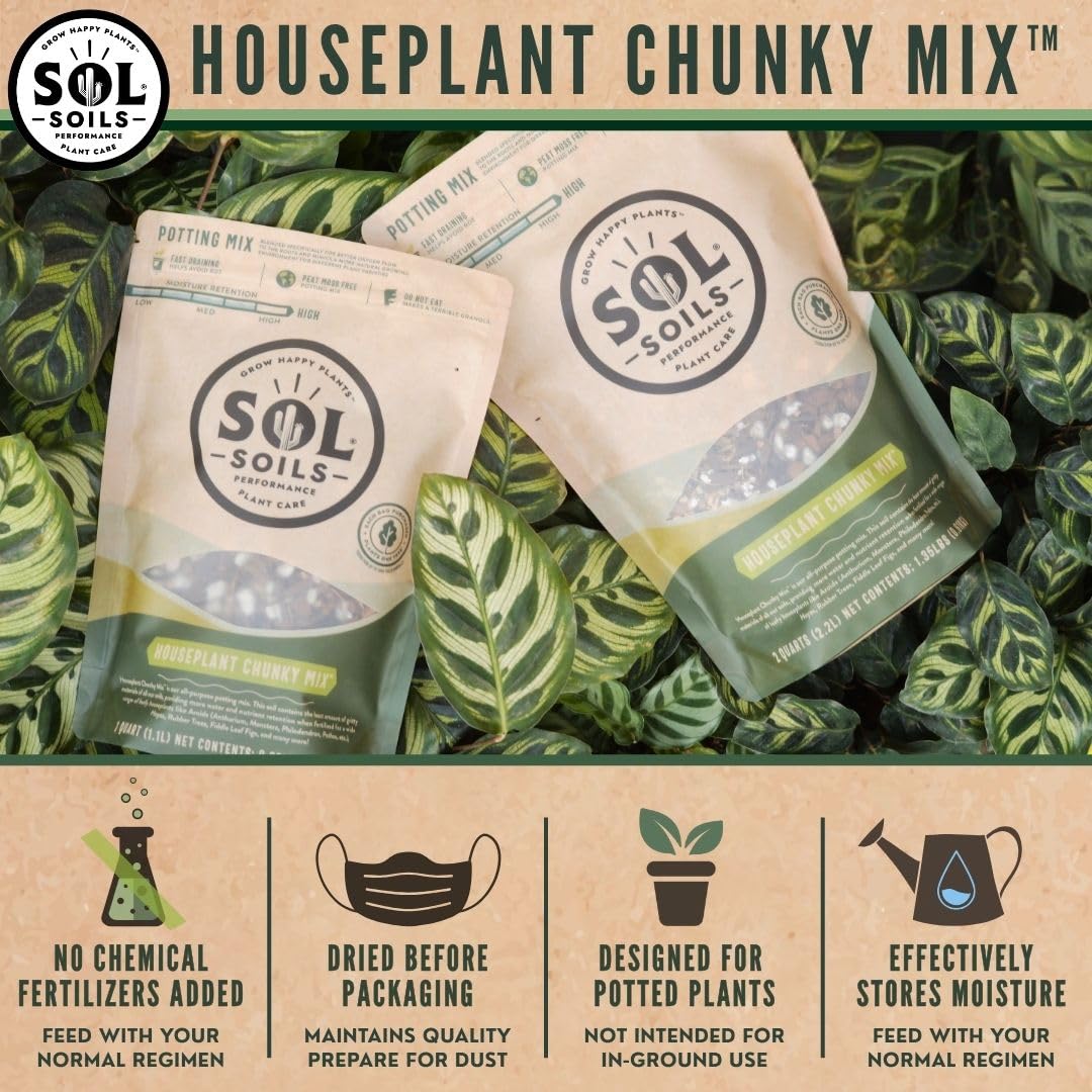Sol Soils chunky mix with perlite and pumice for drainage and aeration.