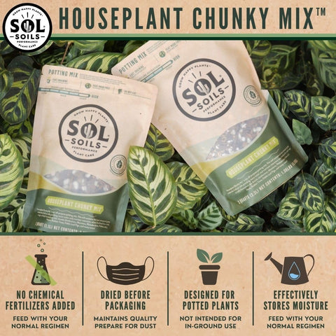 Sol Soils chunky mix with perlite and pumice for drainage and aeration.