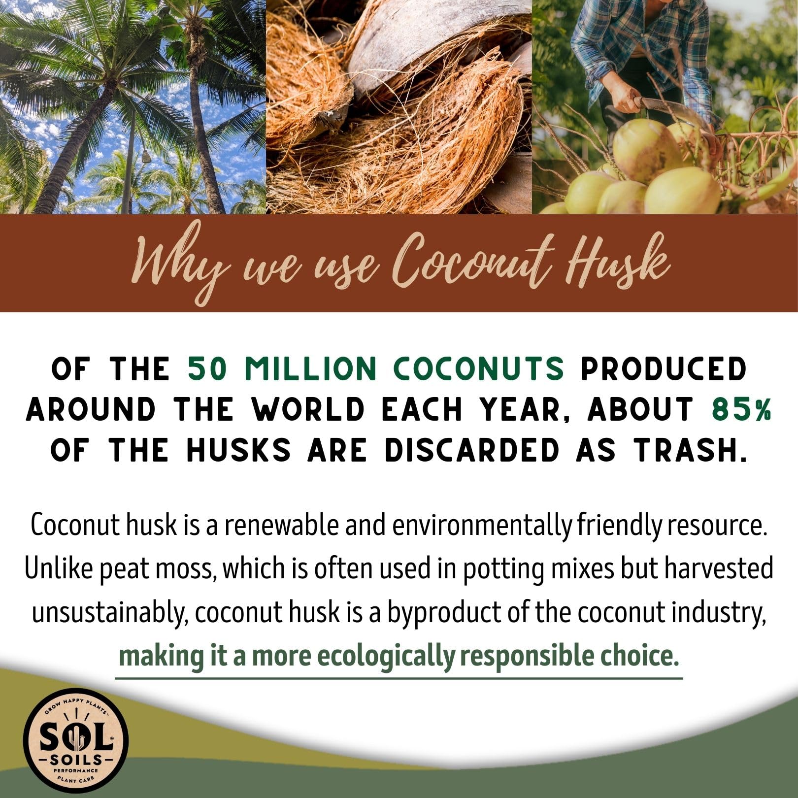 Sol Soils ideal for Monstera, Philodendron, and other tropical houseplants.
