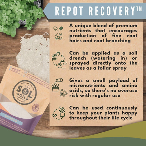 Sol Soils Sol Biotics Repot Recovery measuring spoon with product.