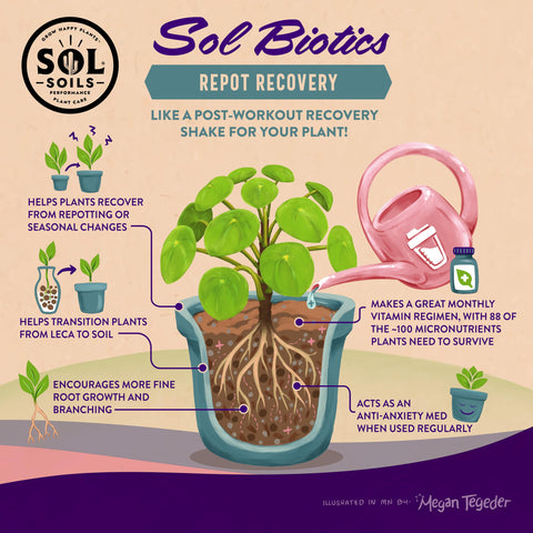 Sol Soils Sol Biotics Repot Recovery microbe-boosting formula on the label.