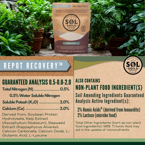 Sol Soils Sol Biotics Repot Recovery applied to a thriving plant scene.