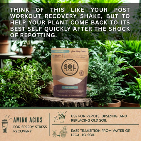 Sol Soils Sol Biotics Repot Recovery root growth illustration shows healthier roots.
