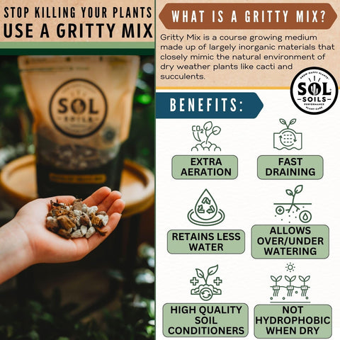 Sol Soils Succulent Gritty Mix bag beside potted plant ready for repotting