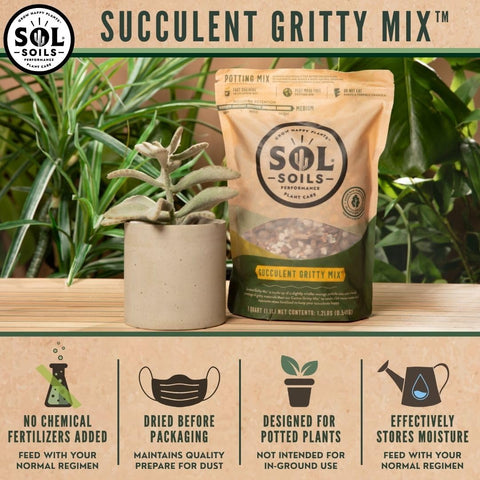 Sol Soils Succulent Gritty Mix in pot demonstrates fast drainage and root-friendly aeration