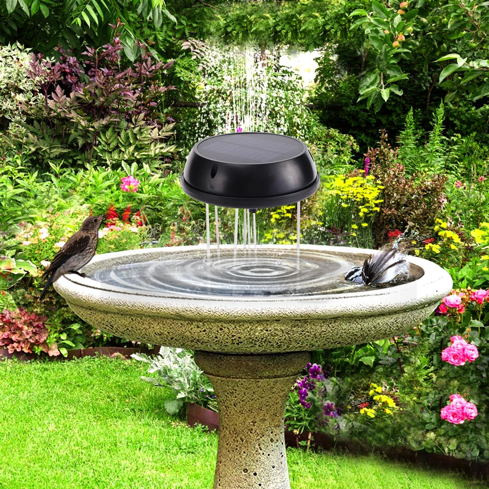 Solaceura Bird Bath Water Ripples showcase dynamic patterns that mimic flowing streams for wildlife appeal.