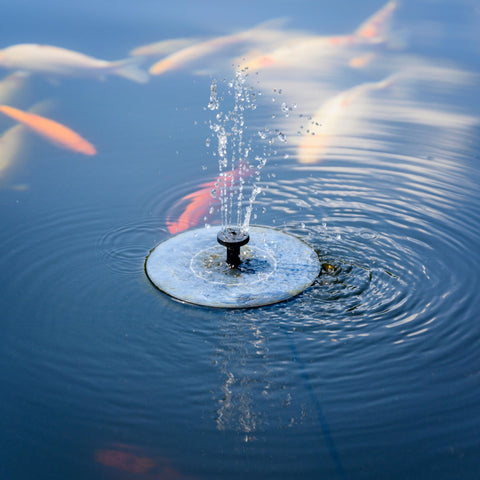 Solatec solar fountain pump powering a pond, delivering eco-friendly aeration and charm.