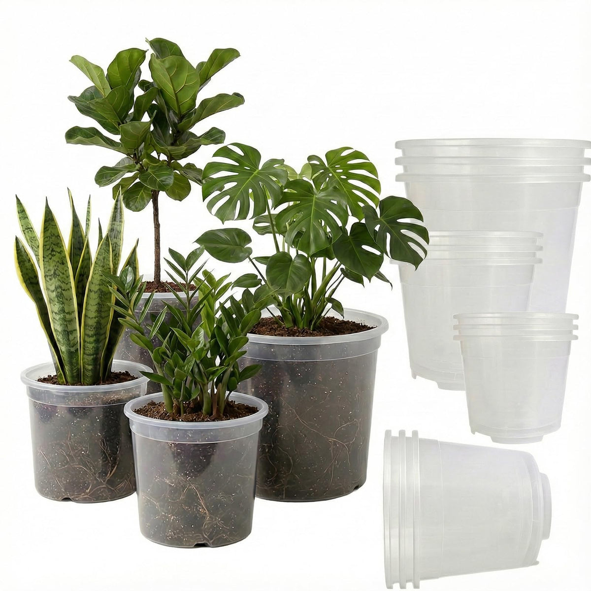 Solavelle clear nursery pot 6.5 inch with deep design for healthy roots