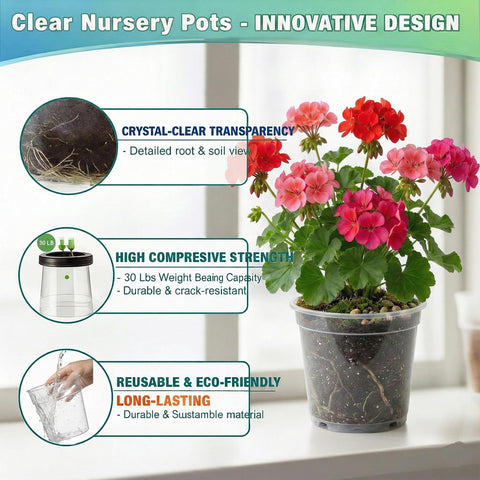 Solavelle clear nursery pot 7.5 inch ideal for seedlings and herbs