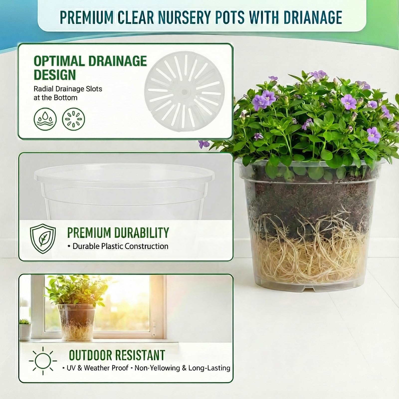 Solavelle clear nursery pot 8 inch suitable for indoor and outdoor planting
