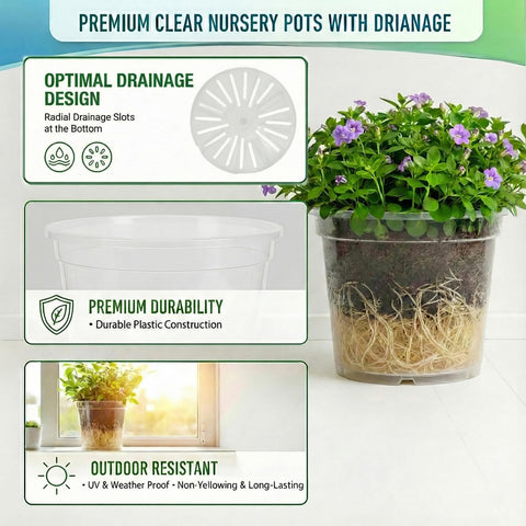 Solavelle clear nursery pot 8 inch suitable for indoor and outdoor planting