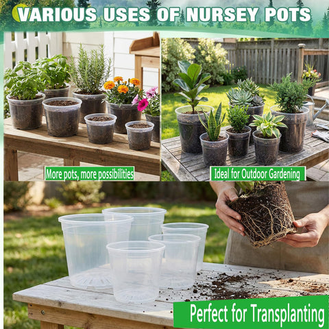 Solavelle indoor outdoor garden setup with clear pots for easy care