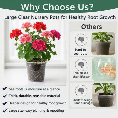 Solavelle multi-size pack of 12 pots offers flexible options for plants