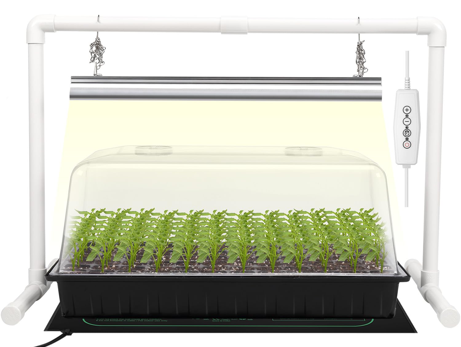SOLIGT 1020 seed starter tray with 6x12 cells for organized germination