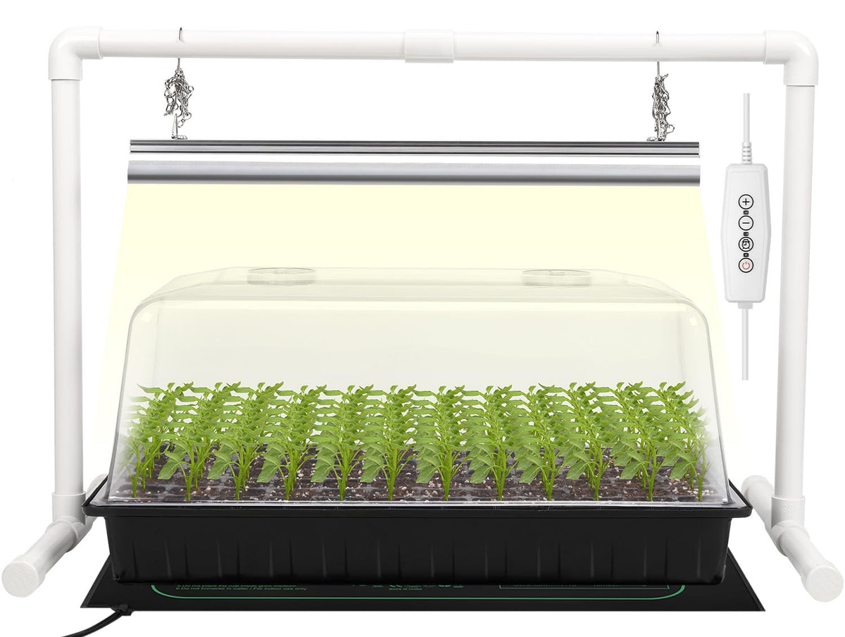 SOLIGT 1020 seed starter tray with 6x12 cells for organized germination