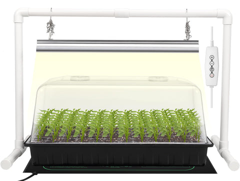 SOLIGT 1020 seed starter tray with 6x12 cells for organized germination
