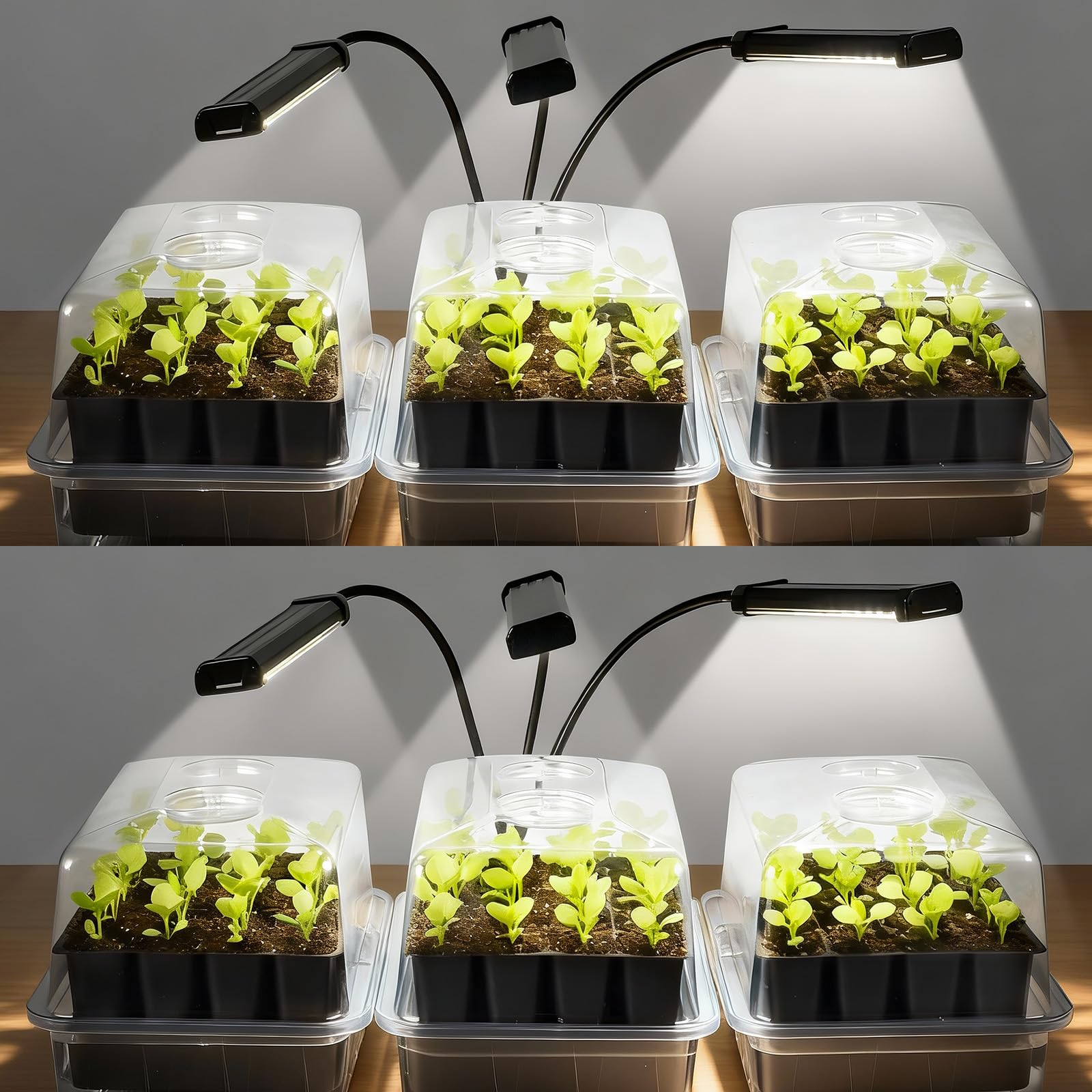 SOLIGT 144-cell seed starter tray front view for efficient indoor seed germination.
