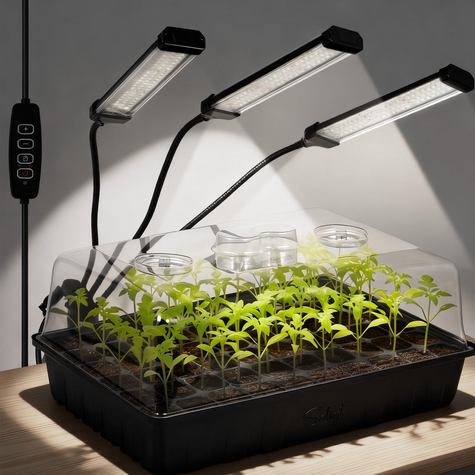 SOLIGT 60-cell seed starter tray with grow light promotes indoor seedling growth.