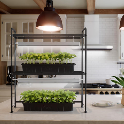 SOLIGT compact deskside greenhouse fits kitchen counters and small spaces.