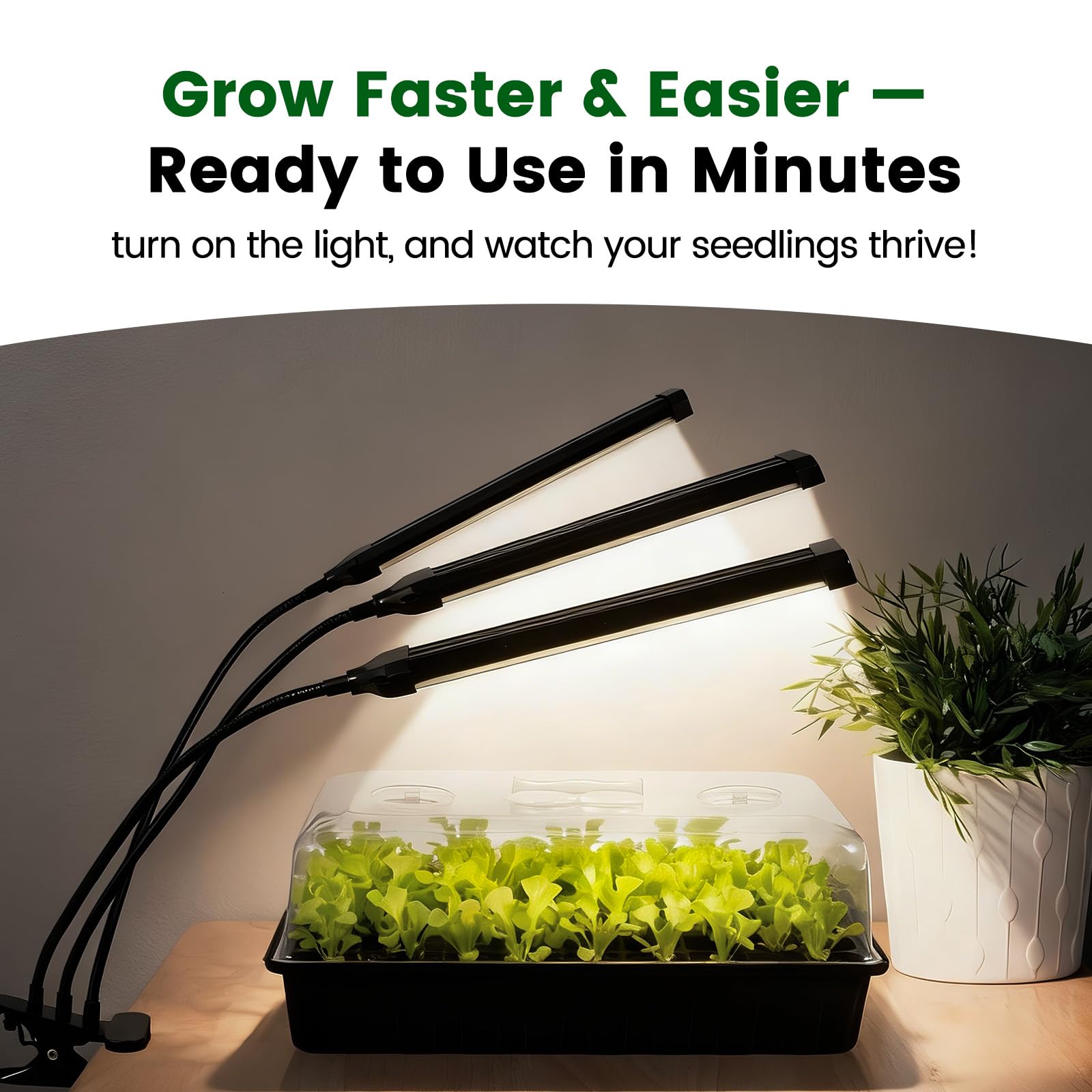 SOLIGT durable plastic seed trays designed for multiple gardening seasons.