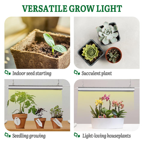 SOLIGT energy-efficient LED consumes less power while brightening seedlings.