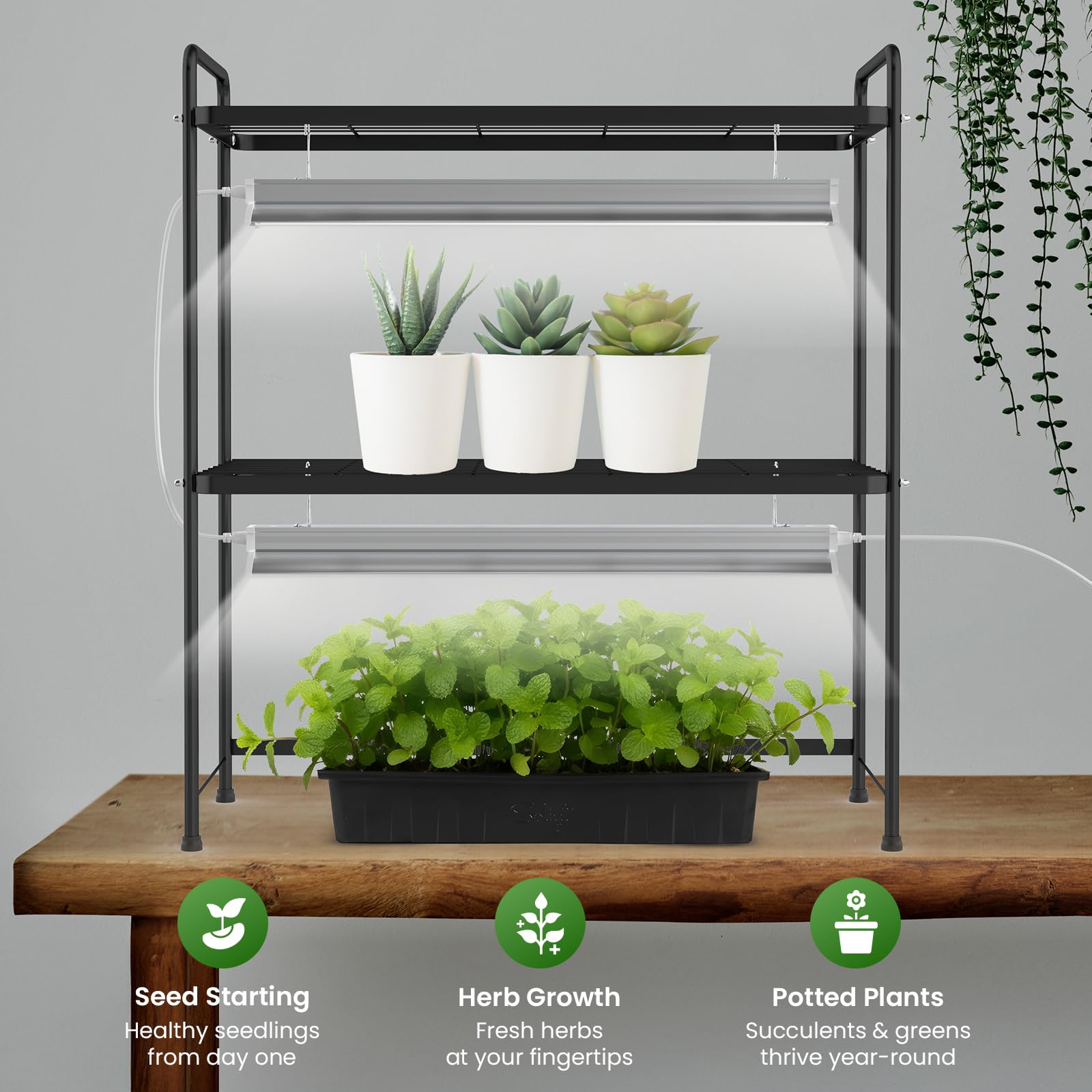 SOLIGT full-spectrum 36W grow lights lighting seedlings and herbs for healthy indoor growth.