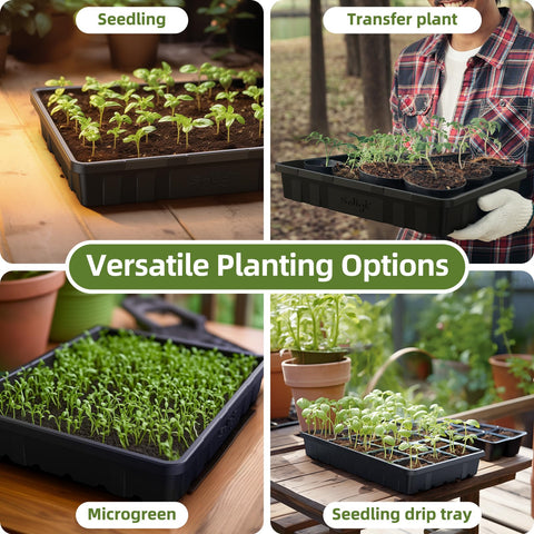 SOLIGT heavy-duty seed tray side profile showcases durability for repeated use.