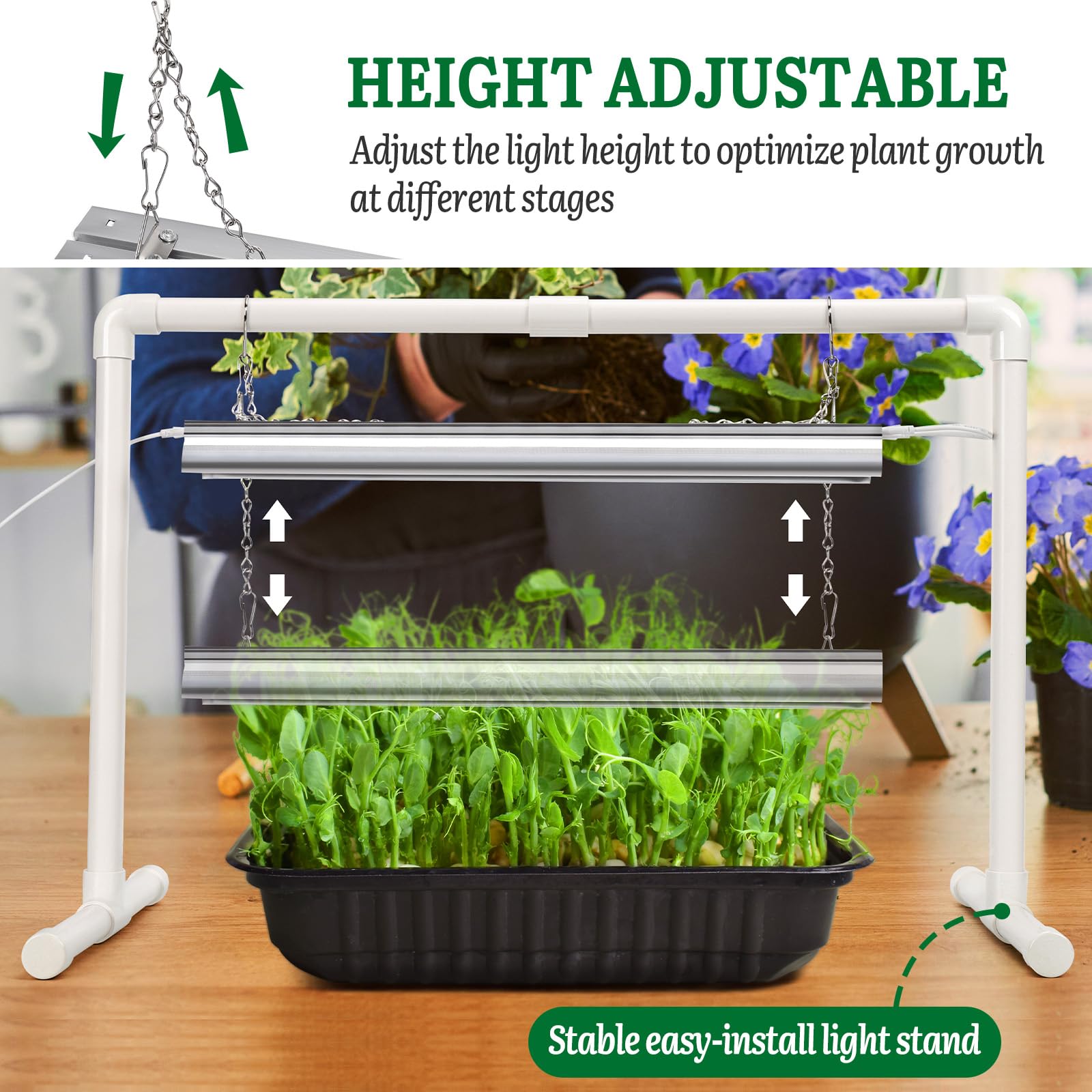 SOLIGT seed starter kit offers convenient germination and propagation setup