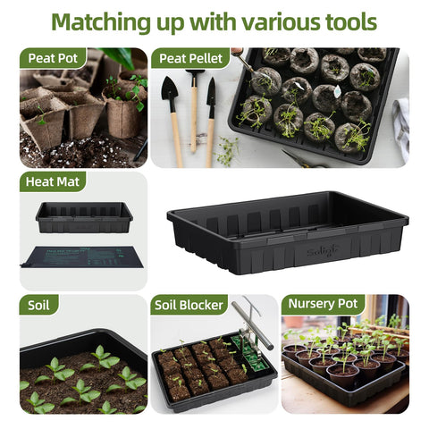 SOLIGT seed tray bottom-watering setup illustrates efficient moisture delivery to roots.