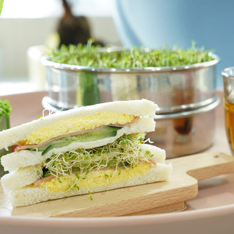 SOLIGT Assembled kit shows compact, space-saving stack.
