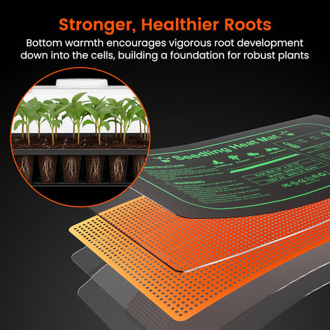 SOLIGT durable no-hole seed trays prevent leaks