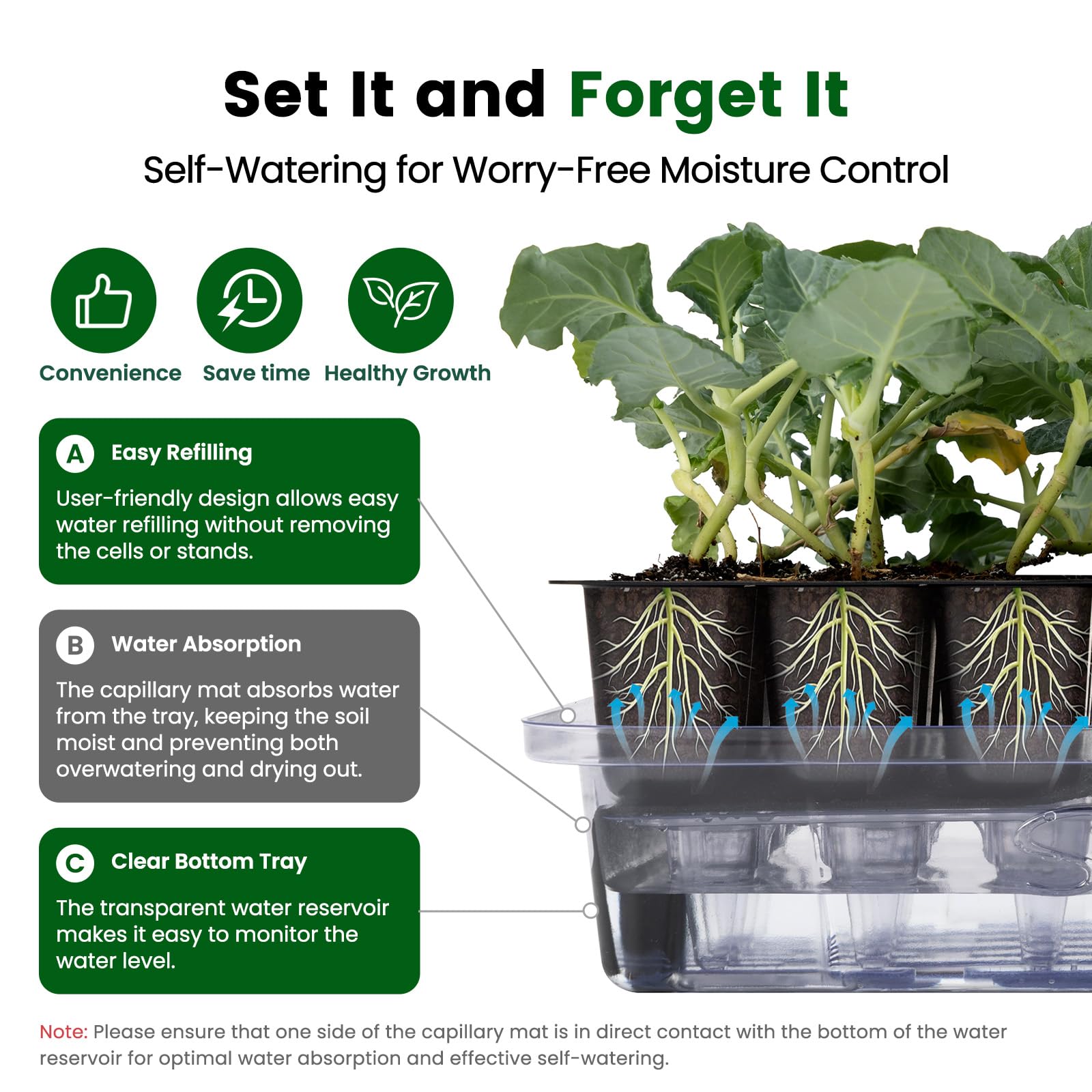 SOLIGT sturdy stands and trays support transplanting and long-term use.