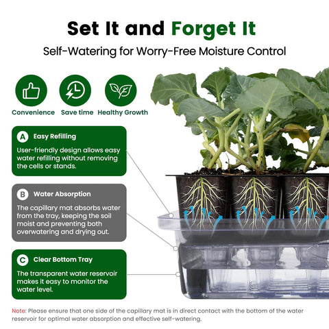 SOLIGT sturdy stands and trays support transplanting and long-term use.