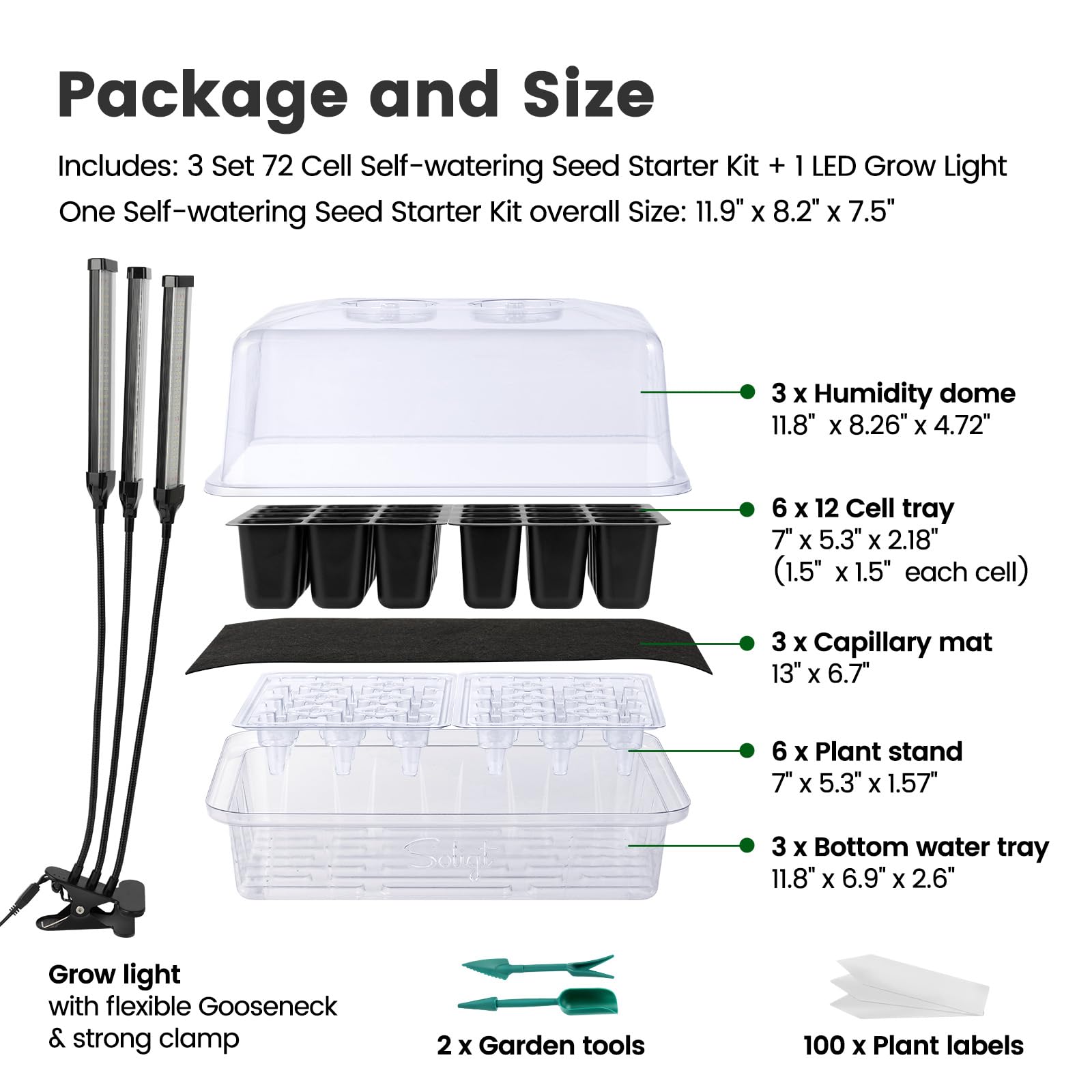Two 12-cell trays with stands ready for transplanting
