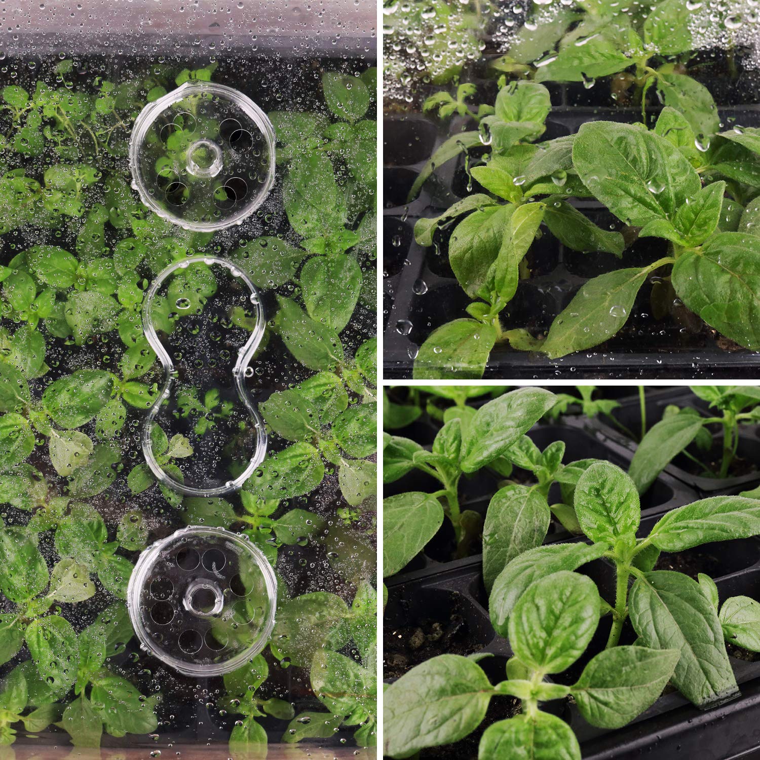 SOLIGT windowsill-friendly trays fit compact home gardening setups