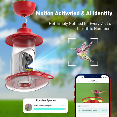 SOLIOM AI identification detects visits and species names in real time