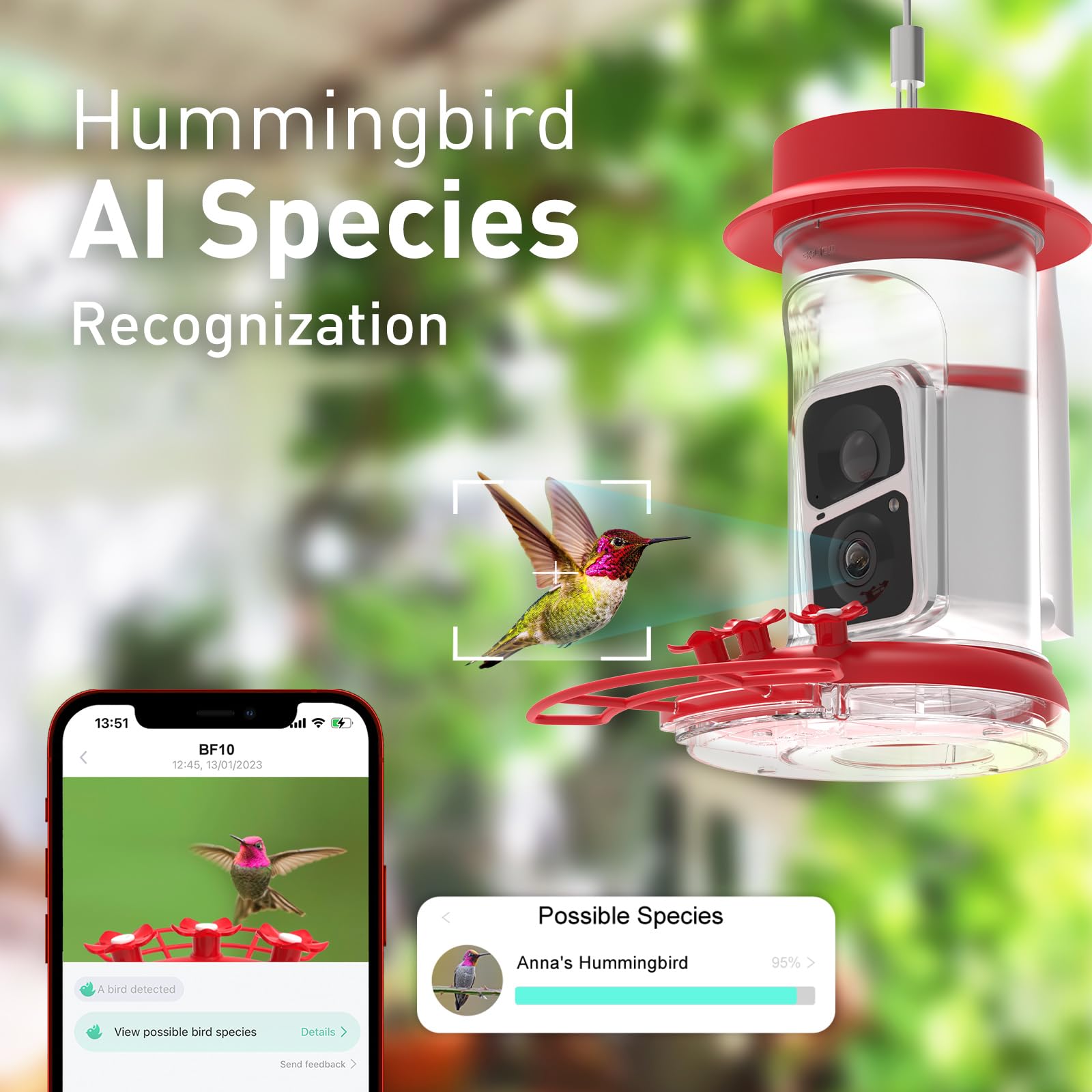Soliom AI identification highlights 300 plus hummingbird species