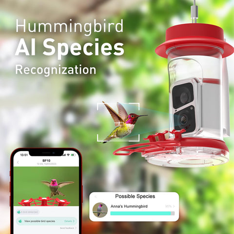 Soliom AI identification highlights 300 plus hummingbird species