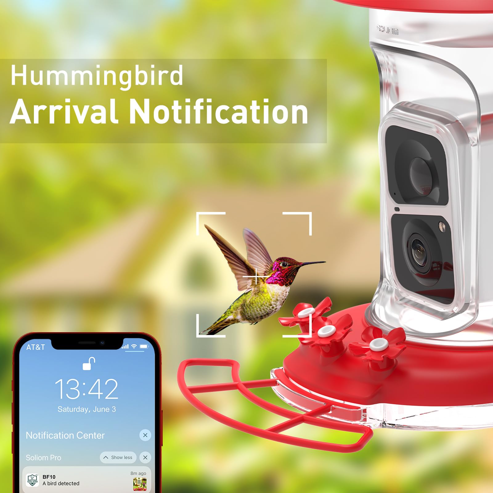 SOLIOM Hummingbird Feeder AI recognition identifies species in real time.