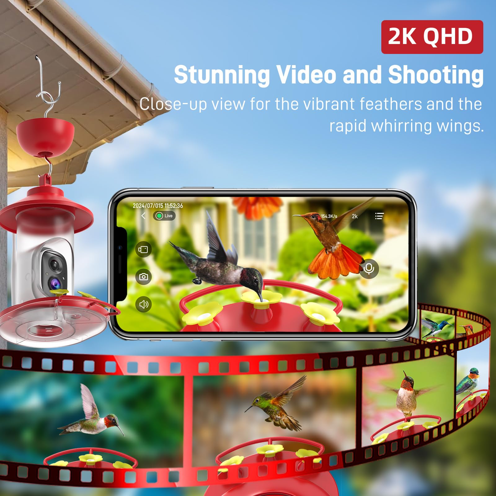 SOLIOM feeder night vision for clear hummingbird footage in low light