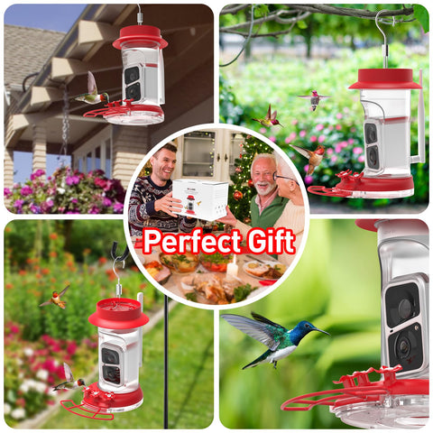 Soliom slide-out camera attached to hummingbird feeder