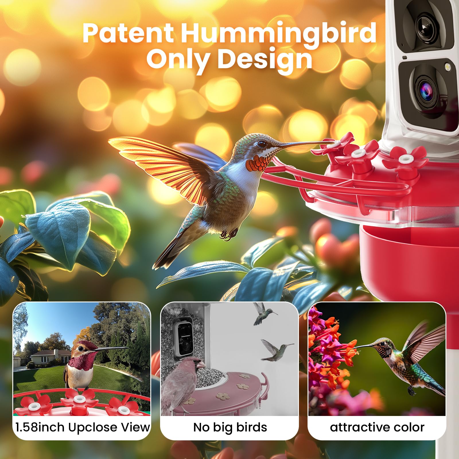 SOLIOM Hummingbird Feeder 2.4G Wi-Fi with cloud or SD storage for clips.